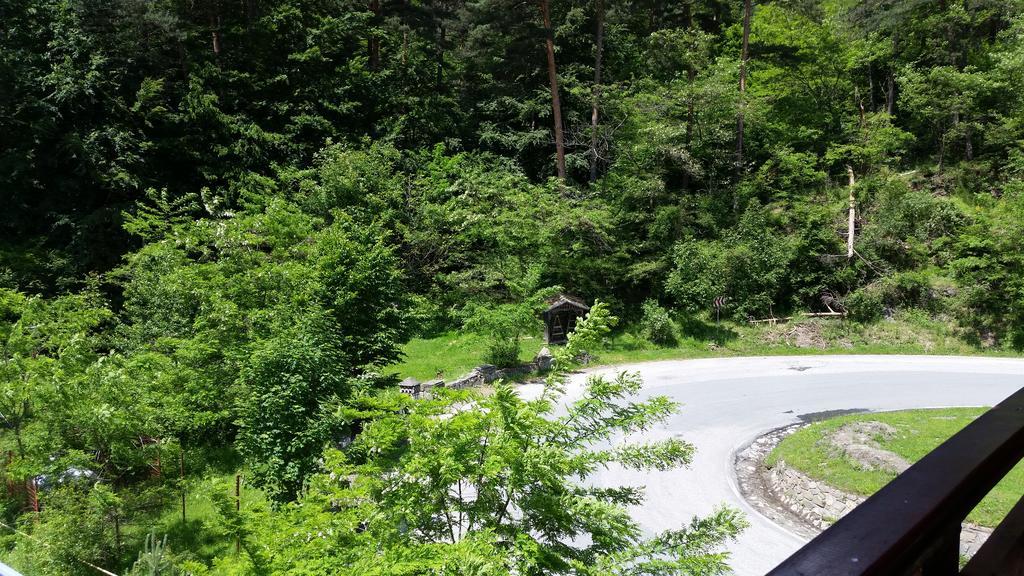 Pension Curmatura Stezii Решинари Экстерьер фото
