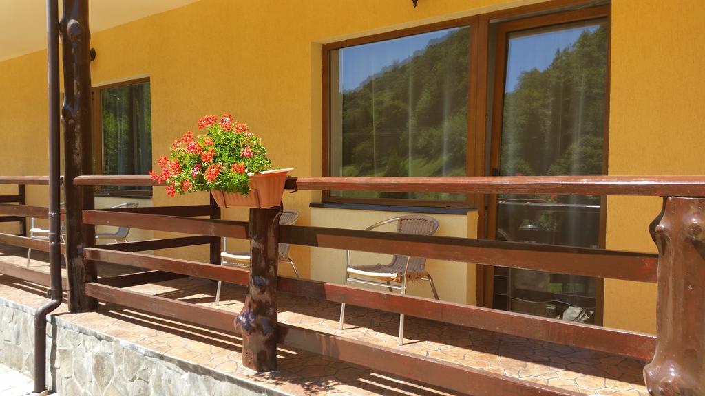 Pension Curmatura Stezii Решинари Экстерьер фото