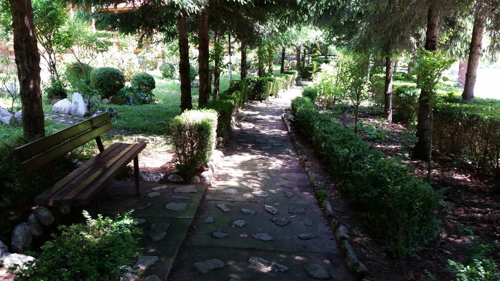 Pension Curmatura Stezii Решинари Экстерьер фото