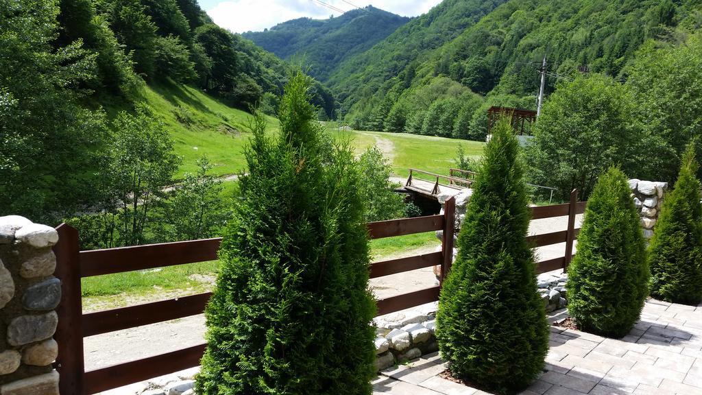Pension Curmatura Stezii Решинари Экстерьер фото